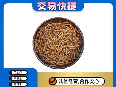 德宏州梁河县回收散虫草